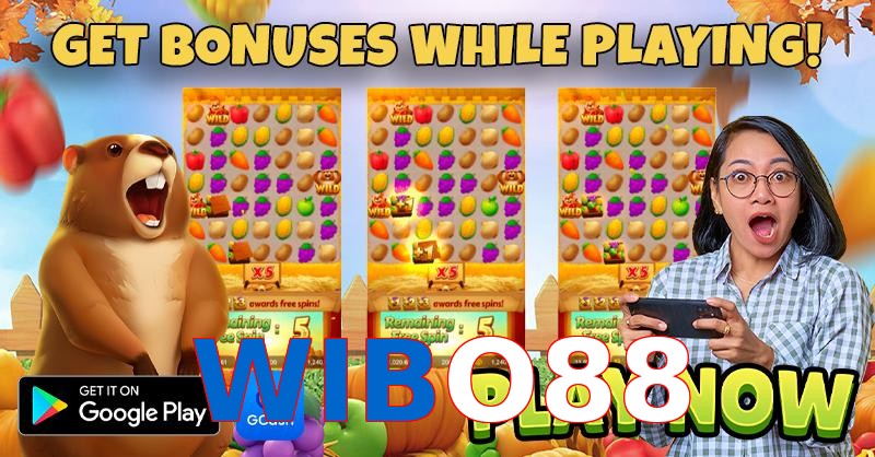 WIBO88